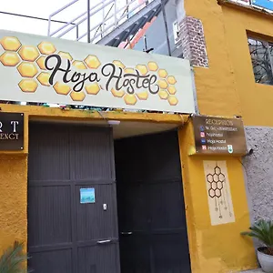 Hoja , Tirana Albania